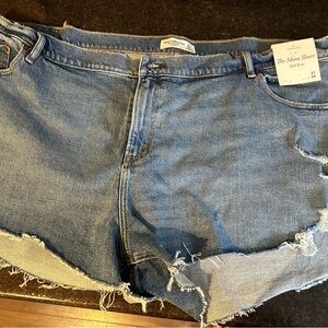Abercrombie & Fitch Blue Jean Shorts Distressed Frayed Hem